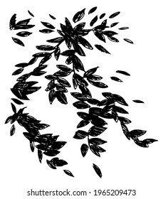 Vector illustration of leaf silhouette in sketch style, with rustic and irregular strokes.