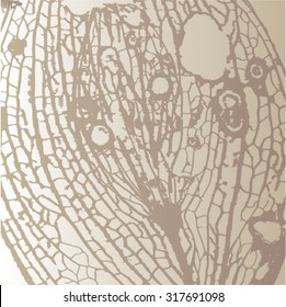 Vector illustration of leaf skeleton background. Pattern, backdrop, natural. Decomposing rotten leaf background. Brown.