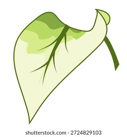 Una Ilustración vectorial de una hoja con tonos verdes suaves y transiciones de gradiente con estilo. La hoja está dibujada en un estilo orgánico moderno, con líneas suaves y una forma natural. Ideal para colecciones temáticas relacionadas con la naturaleza, la botánica, el estilo ecológico y el diseño de bienestar.