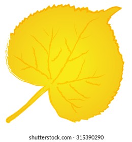 Vector illustration of leaf tree - linden. Use for autumn / fall decorative - banner, label, tag, poster, eshop, web, presentation etc.  Eps 10 vector file.