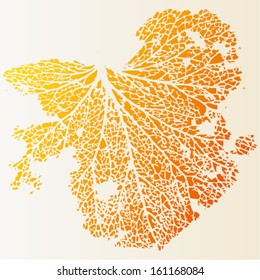 Vector illustration of leaf veins, leaf skeleton. Abstract yellow orange background / isolated leaf image. Autumn.
