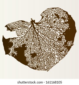 Vector illustration of leaf veins, leaf skeleton. Abstract brown background / isolated leaf image. Autumn.