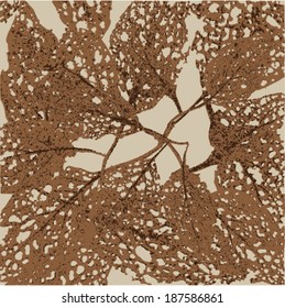 Vector illustration of leaf veins, leaf skeleton. Abstract yellow orange background / isolated leaf image. Autumn. 