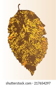 Vector illustration of leaf veins, leaf skeleton isolated. Autumn. 