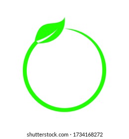 Vector illustration of a leaf. With a white background.