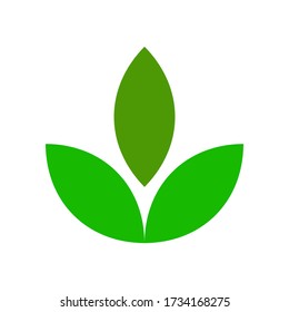 Vector illustration of a leaf. With a white background.