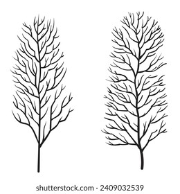 Vector illustration of Leafless Tree. Black silhouette on white background.
