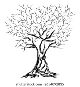 vector illustration of a leafless tree with sprawling branches and exposed roots in monochrome style