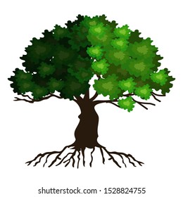 Vector illustration of a leafy tree. banyan tree roots. mangrove plants.
set of branches with a white background