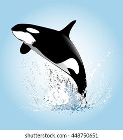 Vector illustration of a leaping orcas