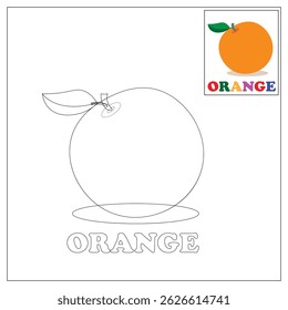 Vector illustration of learning to color for children various types of fruit