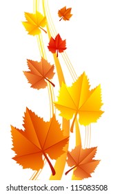 Vector illustration of leaves