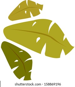 Vector illustration of leaves