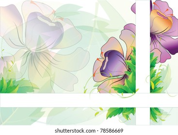 vector illustration of leaves background with large violet-yellow flowers with swirls, and two strips with space for your text