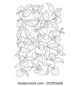 Vector illustration with leaves and berries