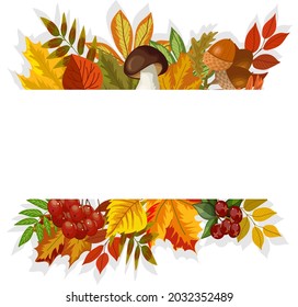 Vector illustration with leaves and berries.Mushrooms, berries and autumn leaves with a frame for your text on a white background in vector illustration.