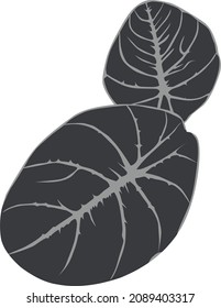 vector or illustration of leaves in black