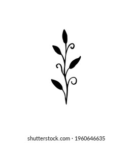 Ilustración vectorial de hojas y ramas dibujadas a mano con tinta. Elemento botánico aislado negro sobre fondo blanco. Plantas forestales silvestres. Diseño para etiqueta, logotipo, plantilla, impresión, tarjeta, iconos.