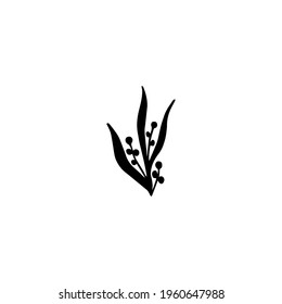 Vector illustration of leaves and branches drawn in ink by hand. Isolated botanical element black on a white background. Wild forest plant. Design for label, logo, template, print, card, icons.