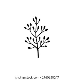 Ilustración vectorial de hojas y ramas dibujadas a mano con tinta. Elemento botánico aislado negro sobre fondo blanco. Plantas forestales silvestres. Diseño para etiqueta, logotipo, plantilla, impresión, tarjeta, iconos.