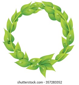 Vector illustration of Leaves Circle with water drop, isolated on white
