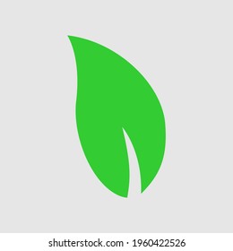 Vector illustration of leaves for decoration and logo.