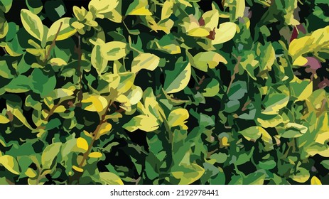 Vector illustration of leaves. Dense leaves of a low tree. Light green color. Leaves irradiated by sunlight. Sunny day, summer, spring. Environment.