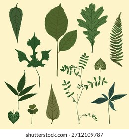 Ilustração vetorial de folhas de diferentes formas