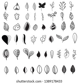 Vector illustration of leaves doodle art collection, simple line sketch design