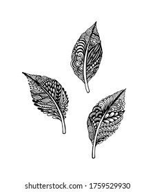 Vector illustration leaves and in doodle style. Floral, ornate, decorative, tribal vector design elements. Black and white background. Zentangle hand drawn coloring book page