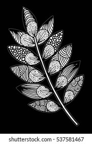 Vector illustration leaves and in doodle style. Floral, ornate, decorative, tribal vector design elements. Black and white background. Zentangle hand drawn coloring book page