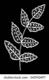 Vector illustration leaves and in doodle style