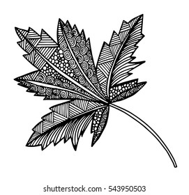 Vector illustration leaves and in doodle style