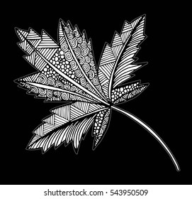 Vector illustration leaves and in doodle style