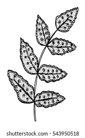 Vector illustration leaves and in doodle style