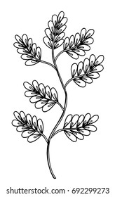 Vector illustration leaves and in doodle style. Floral, ornate, decorative, tribal vector design elements. Black and white background. Zentangle hand drawn coloring book page