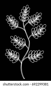 Vector illustration leaves and in doodle style. Floral, ornate, decorative, tribal vector design elements. Black and white background. Zentangle hand drawn coloring book page