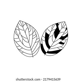 Vector illustration of leaves in flat style. Black and white elements.