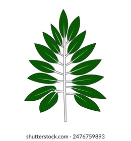 vector illustration of leaves in green color