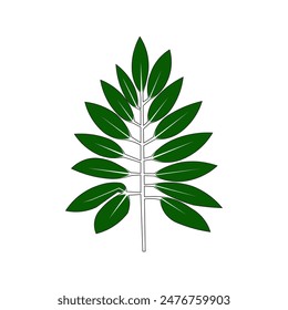vector illustration of leaves in green color