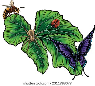 vector illustration of leaves with insect on white background