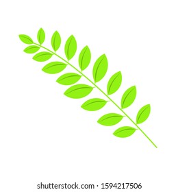 Vector illustration, Leaves isolated on a white.