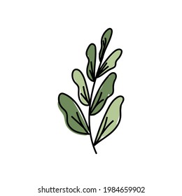 Ilustración vectorial de hojas con contorno. Símbolo del logo de la hoja dibujada a mano.