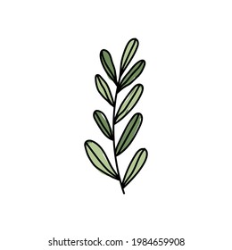 Vektorgrafik von Blättern mit Umriss. Logo-Symbol handgezeichnet.