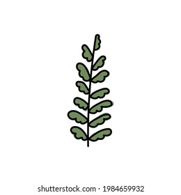 Vector illustration of leaves with outline. Hand drawn leaf logo symbol.