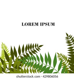 Vector illustration leaves of palm tree