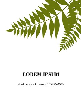 Vector illustration leaves of palm tree