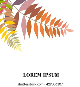 Vector illustration leaves of palm tree