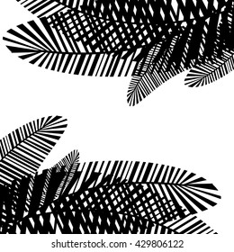 Vector illustration leaves of palm tree