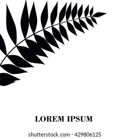 Vector illustration leaves of palm tree